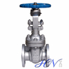 Sour Service Stainless Steel Flanged Disc Manual Operated Gate Valve