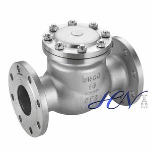 Air Pump Horizontal Stainless Steel Flanged Swing Check Valve